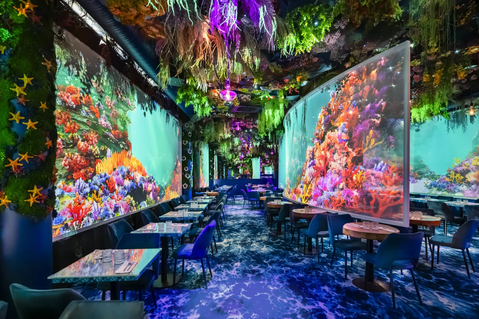 Under The Sea Montpellier