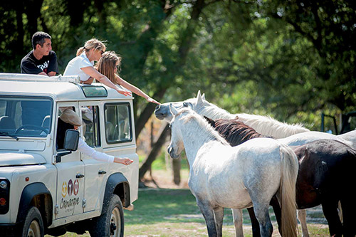 Camargue Autrement