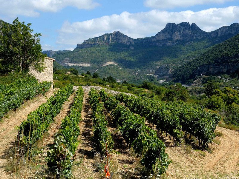 Les Pépites du Sud